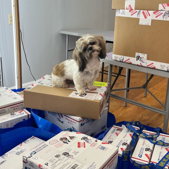 Straight From the Set 🎥 - Picture 2 of 3